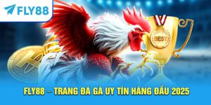Fly88 – Trang đá gà uy tín hàng đầu 2025